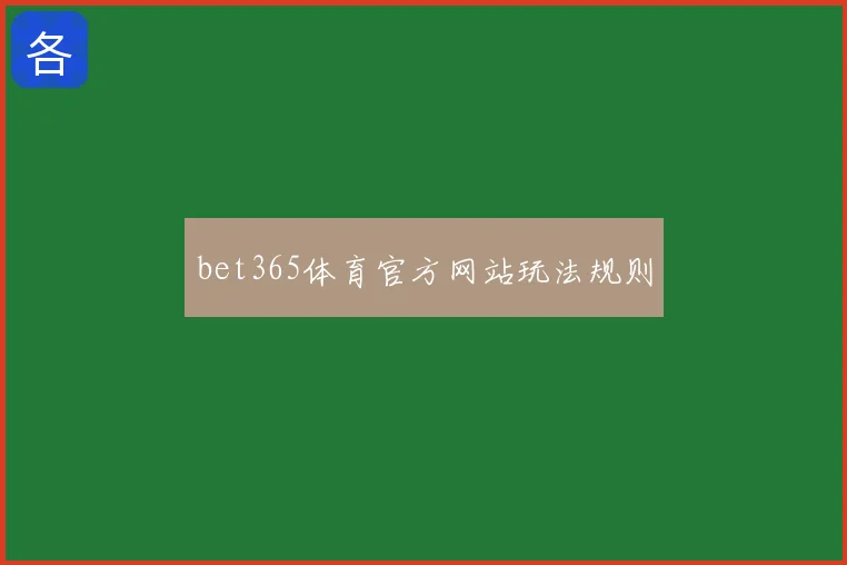 bet365体育官方网站玩法规则